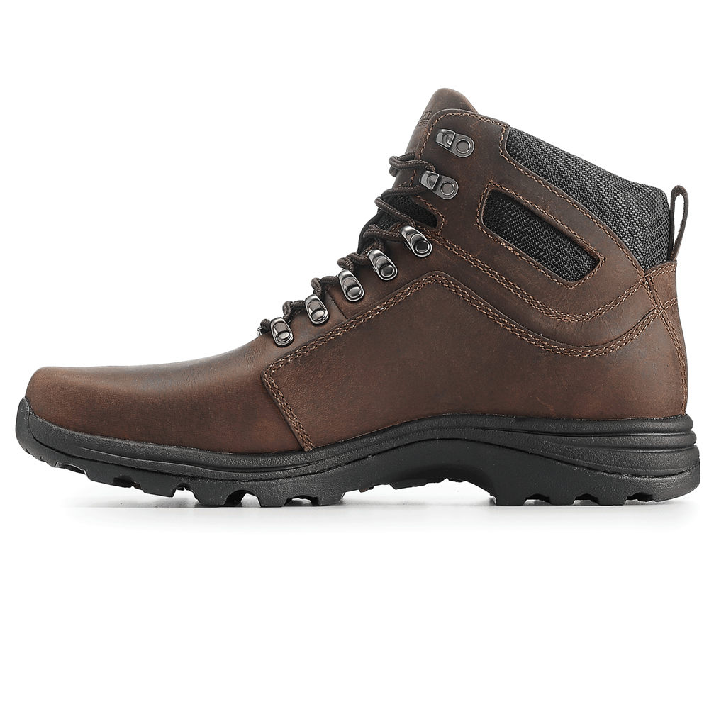 Rockport Støvler Herre Brune - Cold Springs Waterproof Elkhart - AKMF25438